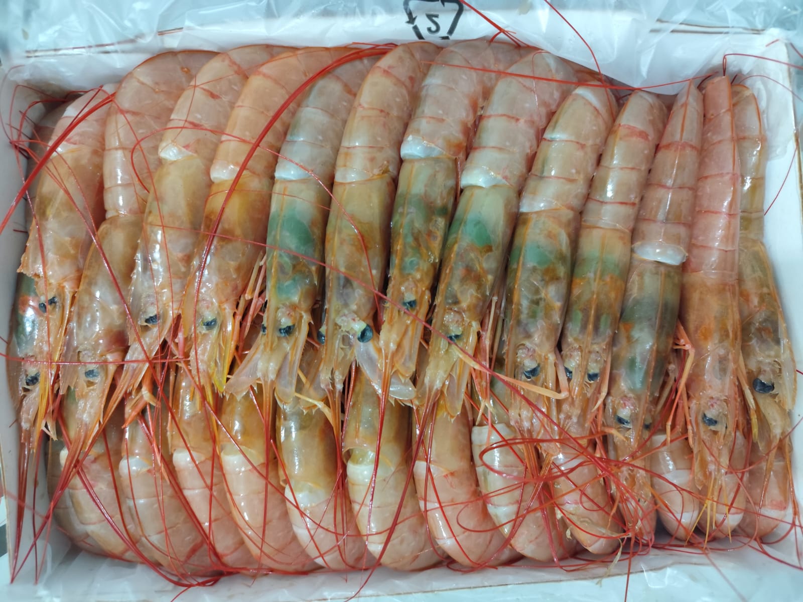 Langostinos en bandeja